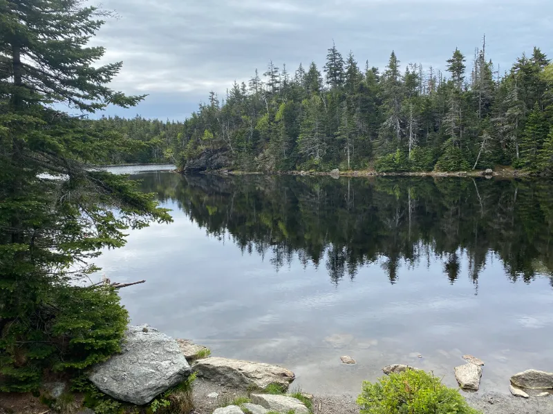 Sterling Pond in spring